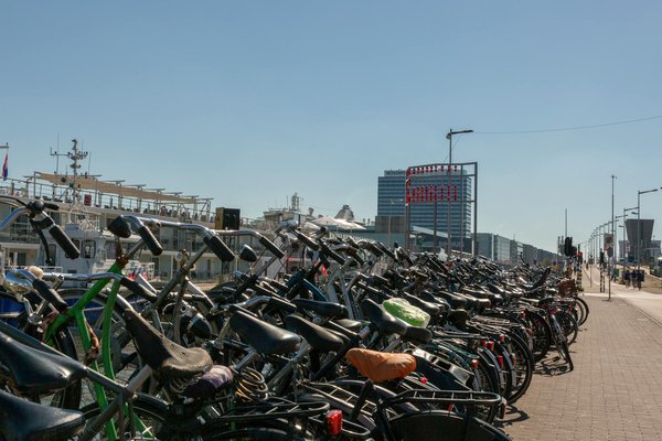 Activités amusantes sous le ciel étoilé en camping à la montagne