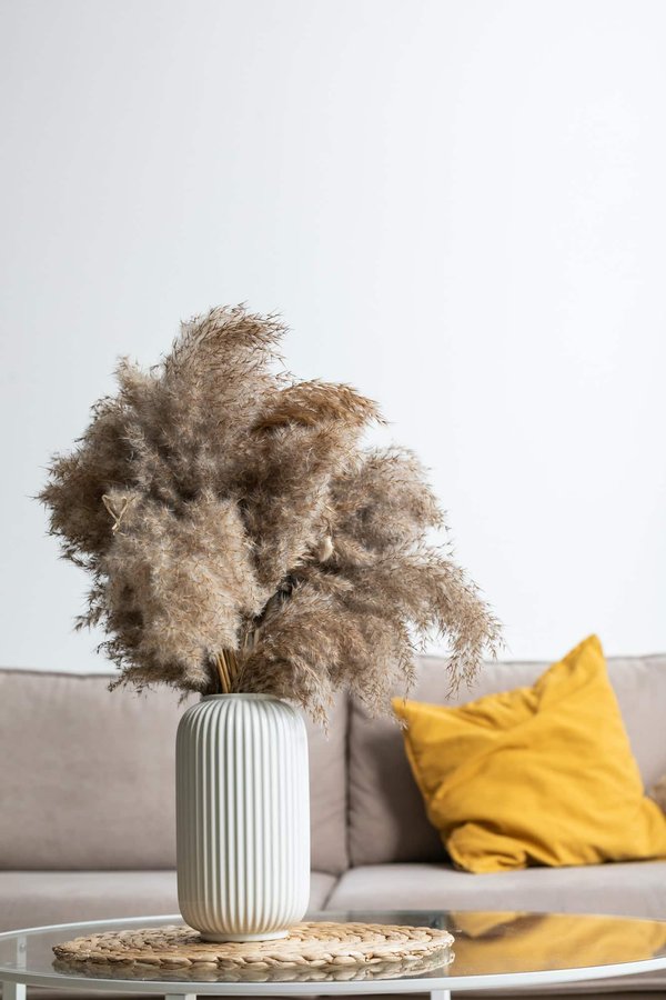 Comment faire l'achat de bouquet de pampa pour sa décoration?