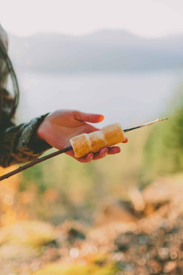 Comment choisir le camping idéal dans le Morbihan pour un séjour nature ?